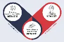 VIKING SHIELD GRAPHIC.webp